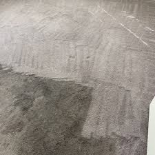 carpet cleaning near dayton tx