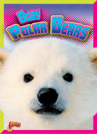 Baby Polar Bears Adorable Animals Deanna Caswell