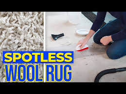 how to spot clean a wool rug you