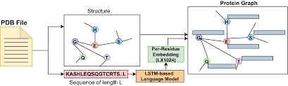 protein interaction using graph neural