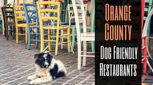 dog friendly restaurants in orange