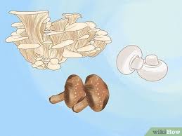 How To Grow Mushrooms Indoors 14 Steps