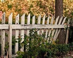 White Picket Fence Ranch Exterior