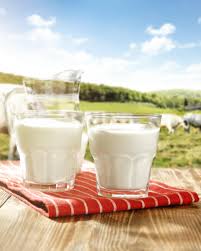 Acidofilné mlieko plné laktobacilov, mlieko a trávenie