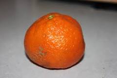 What is each section of an orange called?