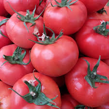 local tomato kg