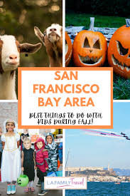 fall in the san francisco bay area