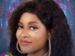 BBNaija: Phyna lashes out at housemates for rejecting idea on house task - QED.NG