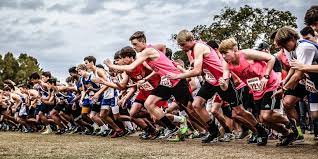 middle cross country meet