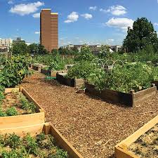 community gardening series rutgers njaes