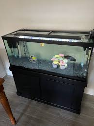 75 gallon fish tank in las