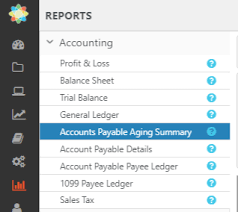 Accounts Payable Aging Summary Report Cosmolex Support