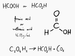formic acid methanoic acid organic