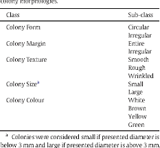 Table 1 From Improvements On Colony Morphology