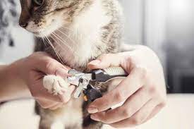 nail trims for you and your cat