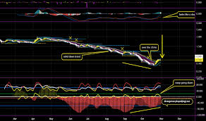 Slng Stock Price And Chart Cse Slng Tradingview