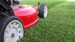 How often should i aerate my lawn? Should You Aerate Your Own Lawn A Golf Superintendent Explains