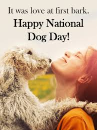 How can you celebrate on international dog day and beyond? National Dog Day Cards 2021 Happy National Dog Day Greetings 2021 Birthday Greeting Cards By Davia Free Ecards