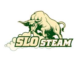 slo steam carpet cleaning services