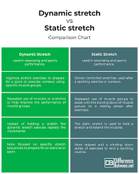 Difference Between Dynamic Stretching And Static Stretching