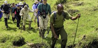 Image result for trekking stick in uganda