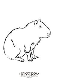 Capybara coloring page the capybara coloring page is available for free for you to print or/and color online. Coloring Pages