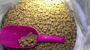 worms in my purina pro plan dog food