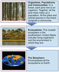 The Scope Of Ecology Biology For Majors Ii