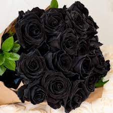 black roses arranged in a vase in miami