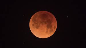 A 'Blood' Supermoon and Total Lunar Eclipse Will Be Visible in NZ This  Month - Concrete Playground