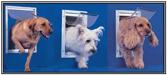 Ideal Deluxe Pet Door With Universal