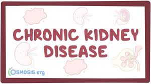 chronic kidney disease knowledge amboss
