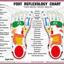 Reflexology Hand Chart Pdf Foot Reflexology Reflexology