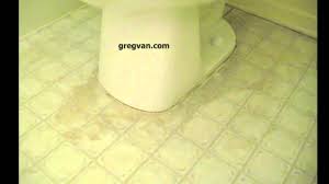 linoleum flooring damage around toilet
