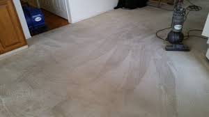 best 15 carpet cleaners in calgary ab