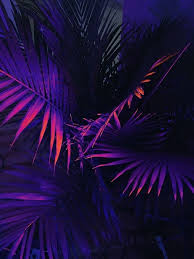 Trippy purple neon hd trippy. Neon Purple Iphone Wallpaper