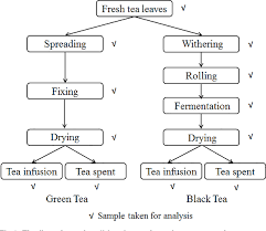 Figure 1 From Dissipation Pattern Processing Factors And