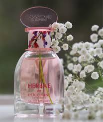 l occitane herbae clary sage review