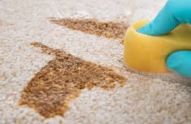 Muchas veces, para limpiar las alfombras de tu hogar, seguro que recurrís a un profesional para que les haga su puesta a punto anual. Como Limpiar Alfombras De Lana En Casa Trucos