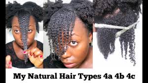 Take the texture type quiz. My Natural Hair Curl Pattern Kinky Coily Hair Type 4c 4b 4a With Lot Of Shrinkage Youtube
