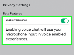 how to get voice chat on roblox with
