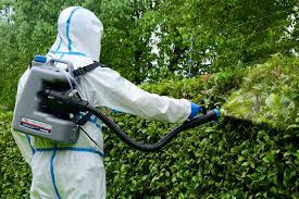 the best mosquito yard spray options of