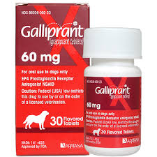 Galliprant 60 Mg Tab 30 Ct