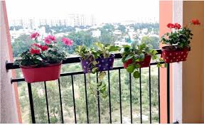 Balcony Garden Setup