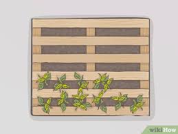 a planter box from pallets