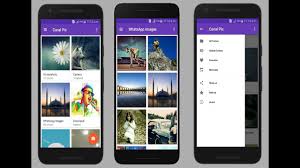 develop complete android gallery app in