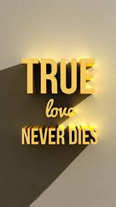 true love never s iphone wallpapers