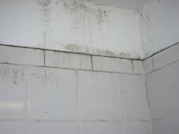 Bathroom Mold Issues