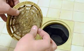 remove hair from a shower drain