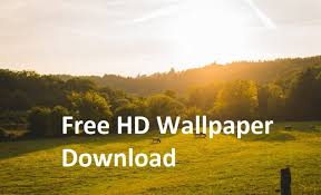 We use cookies to ensure we give you the best experience on our website. Top 5 Best Hd Wallpaper Websites Amnesty India Organization